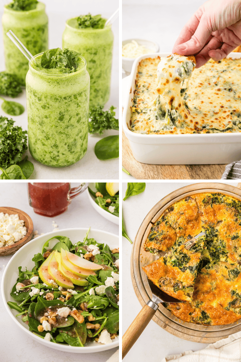 A smoothie, cheesy spinach dip, salad with apples, and baked frittata highlight Healthy Spinach Recipes.