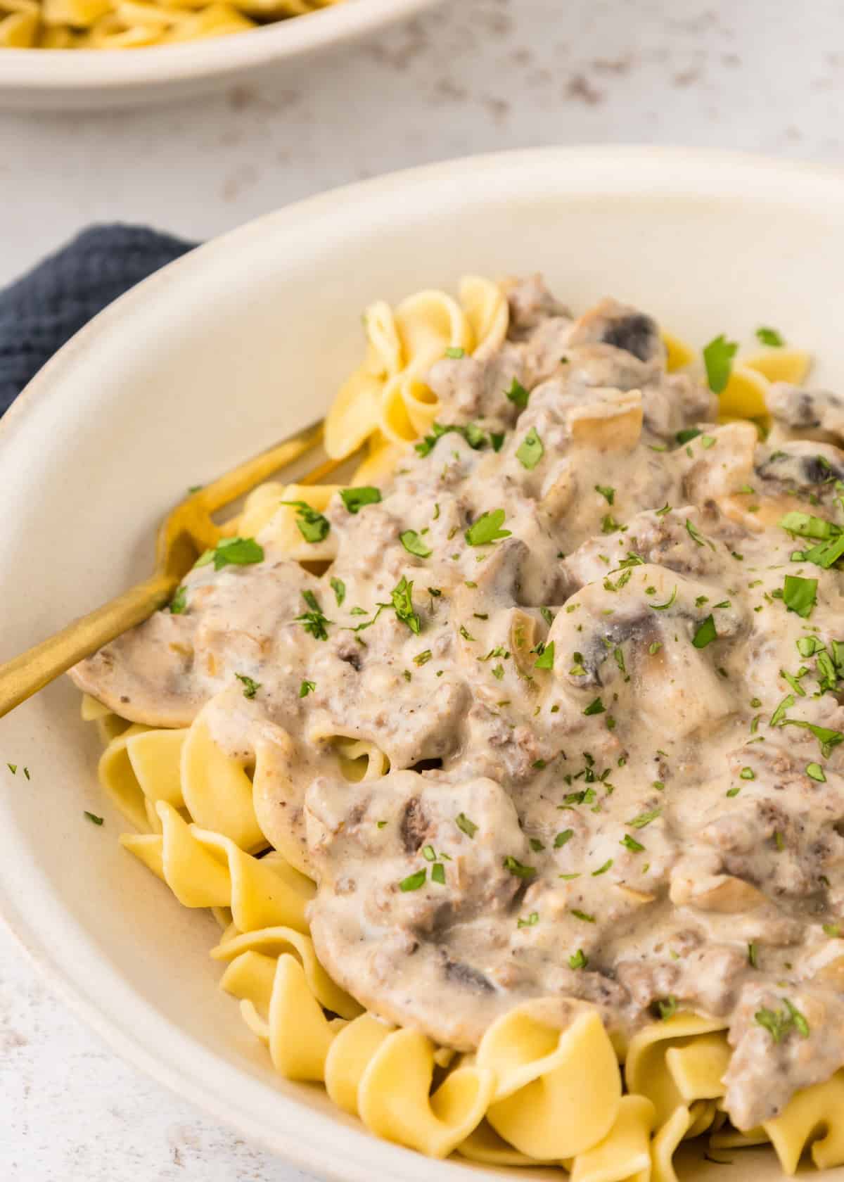 Noodles topped with fresh herbs and ground beef stroganoff.