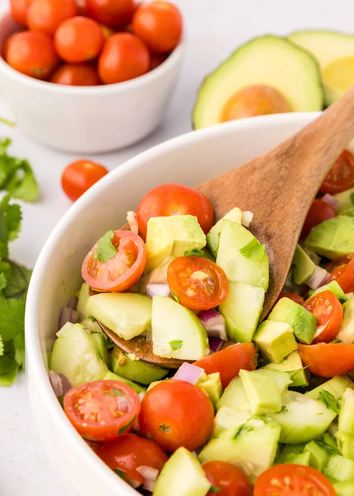 avocado tomato cucumber salad