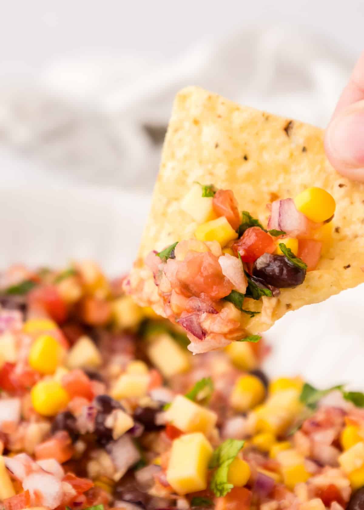 Summer salsa scooped with a tortilla chip.