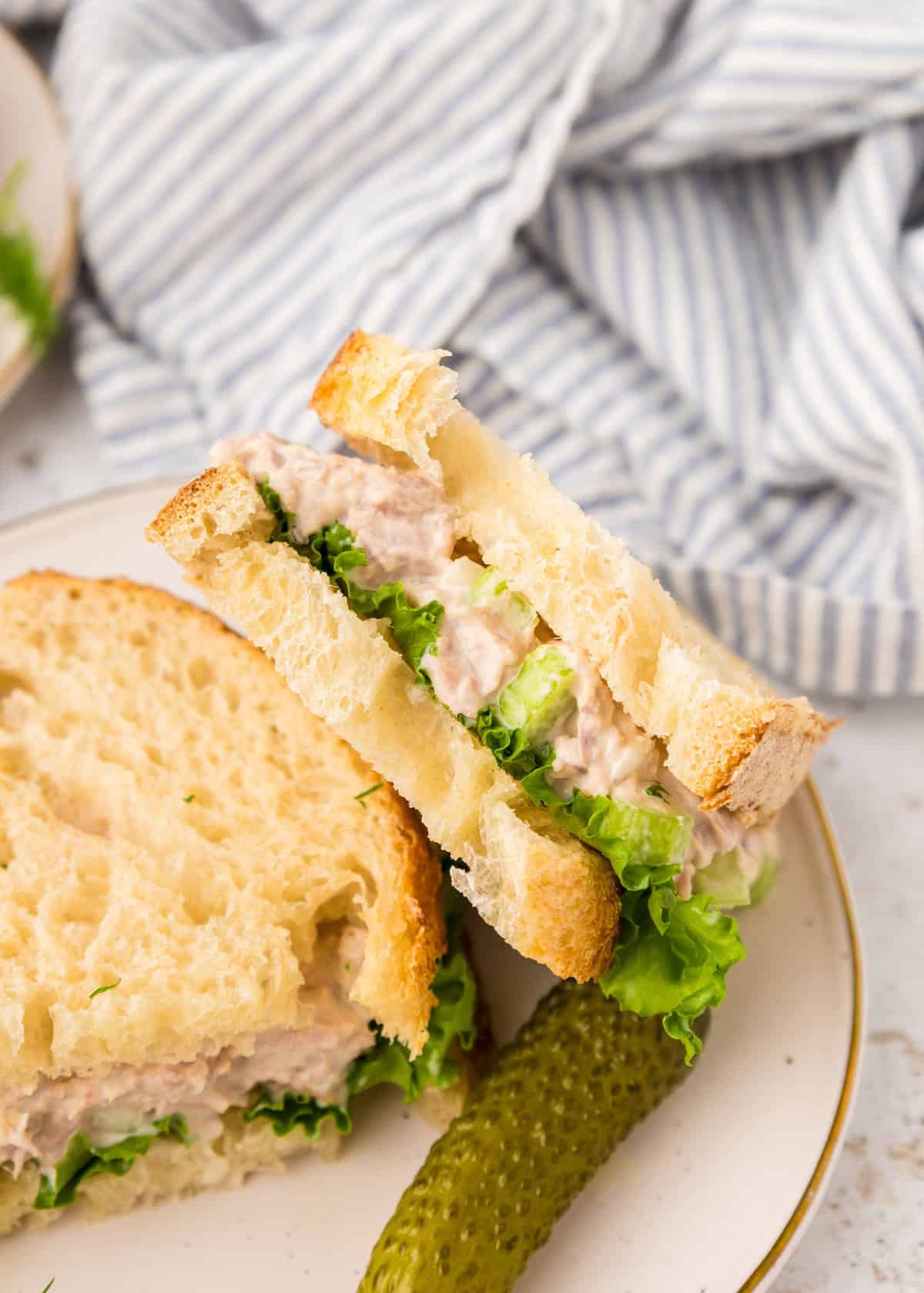 tuna salad sandwich with pickle