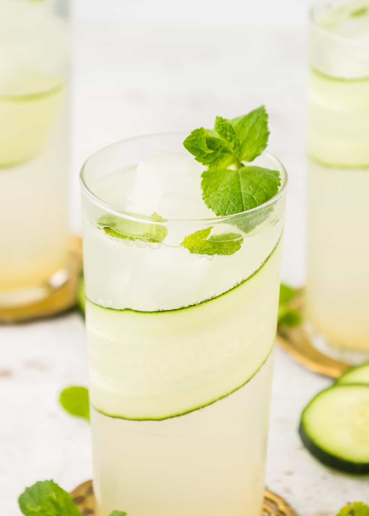 Cucumber Mint Cooler with mint sprig.